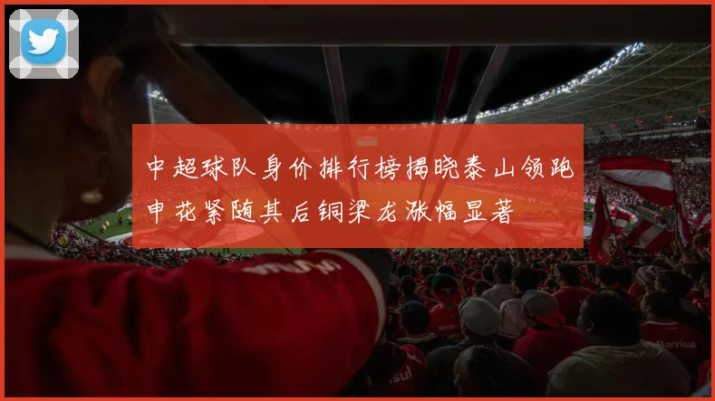 中超球队身价排行榜揭晓泰山领跑申花紧随其后铜梁龙涨幅显著